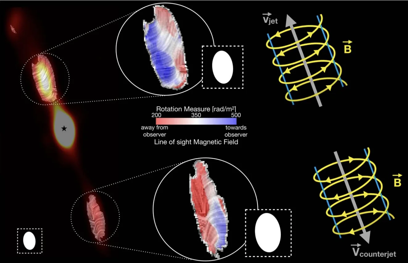 Results of the Rotation Measure analysis in the HH80-81 jet